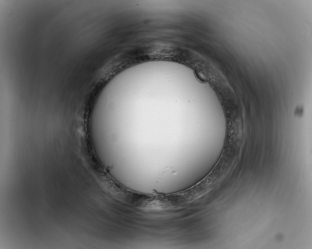 X0000102510755200808221817