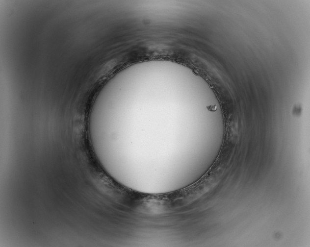 X0000102510756200808221817