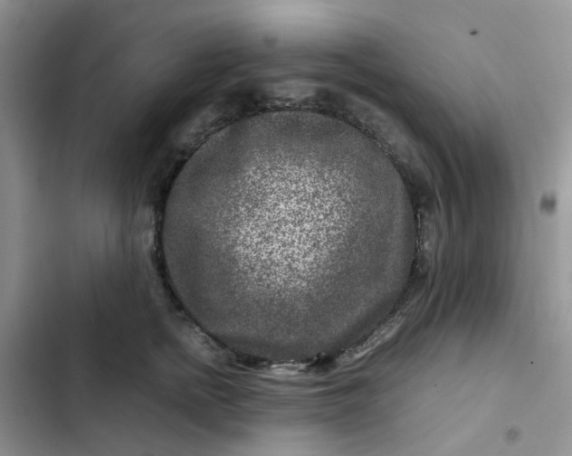 X0000102510758200808221817