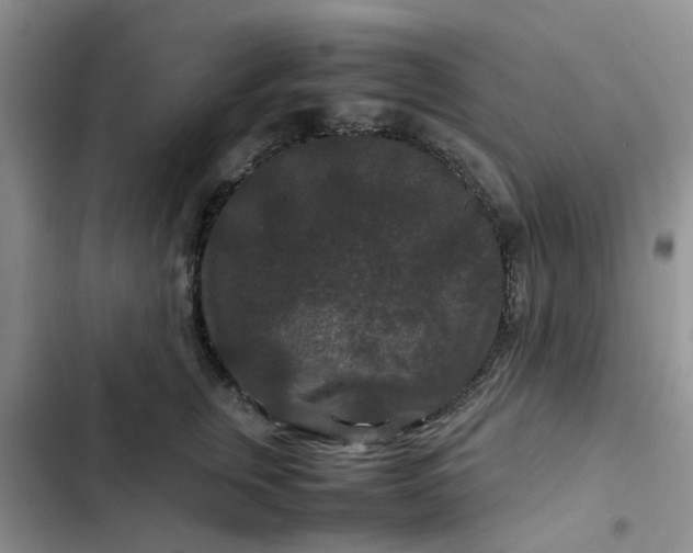 X0000102510759200808221817