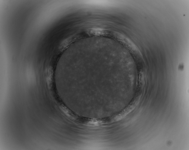 X0000102510760200808221817