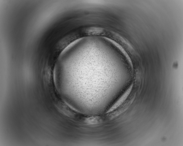 X0000102510761200808221817