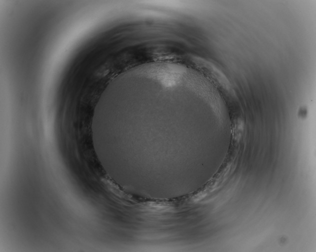 X0000102510763200808221817