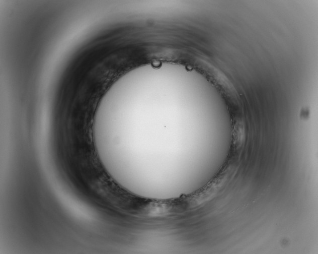 X0000102510764200808221817