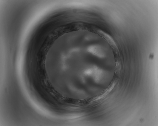 X0000102510765200808221817