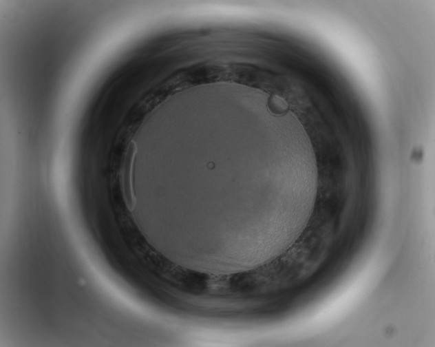 X0000102510766200808221817