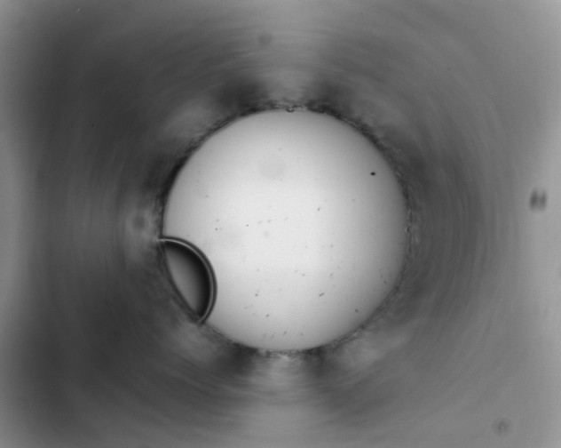 X0000102510768200808221817
