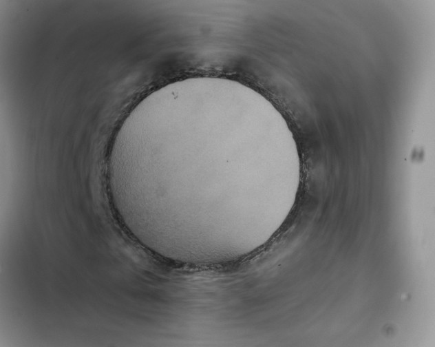 X0000102510769200808221817