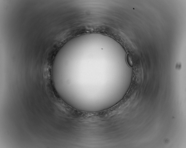X0000102510770200808221817