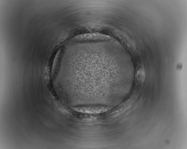 X0000102510772200808221816