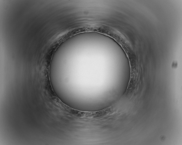 X0000102510773200808221816