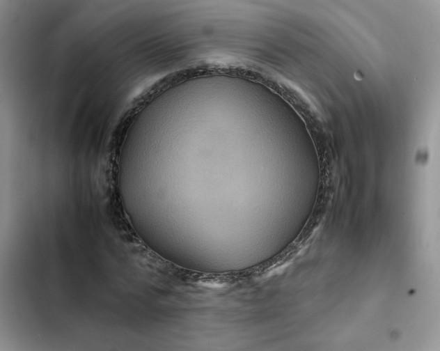X0000102510776200808221816