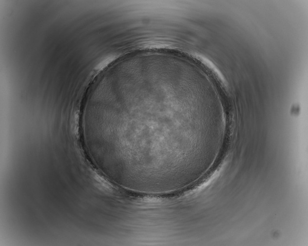 X0000102510777200808221816
