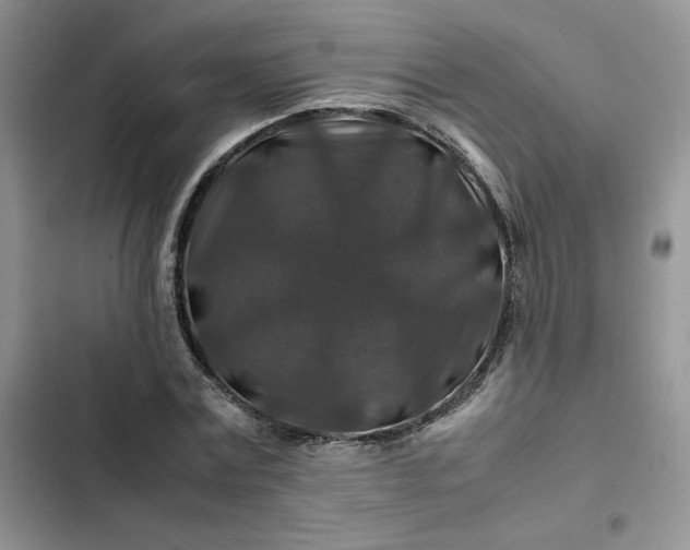 X0000102510779200808221816