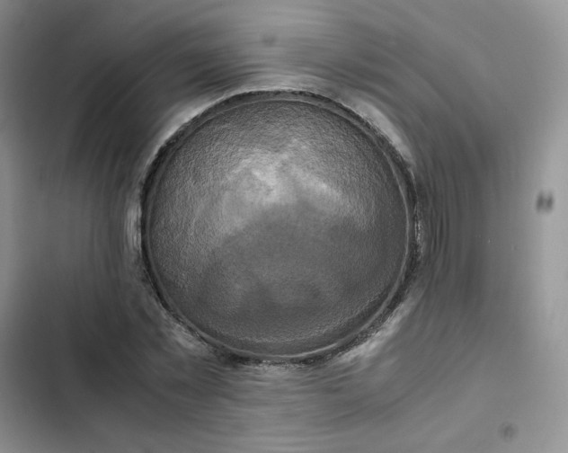X0000102510781200808221816
