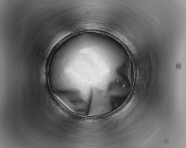 X0000102510782200808221816