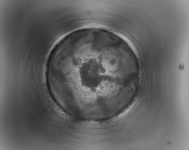 X0000102510783200808221816