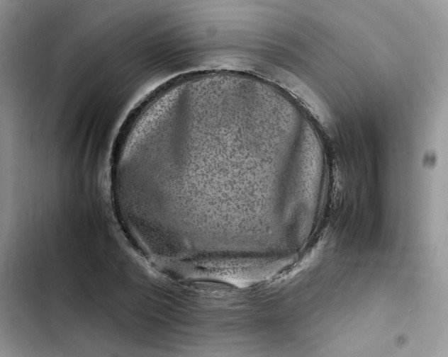 X0000102510784200808221816