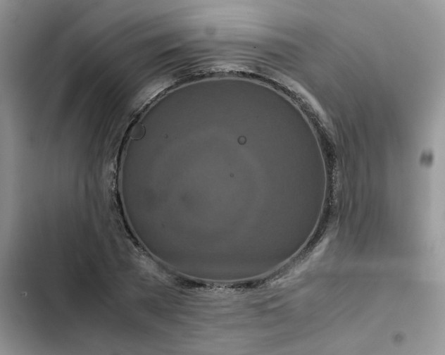 X0000102510785200808221816