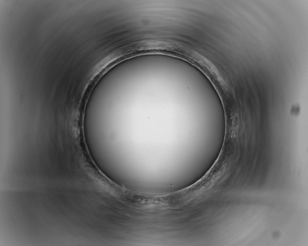 X0000102510786200808221816