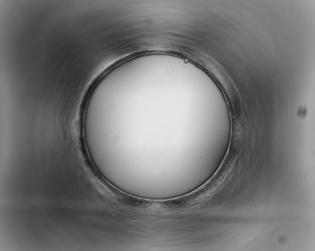 X0000102510787200808221816