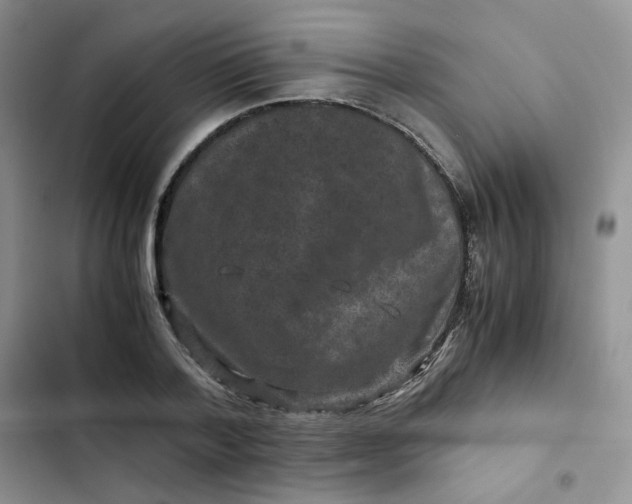 X0000102510788200808221816