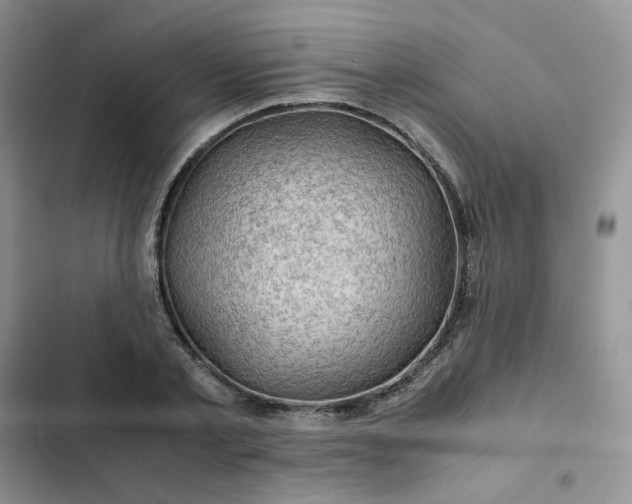 X0000102510789200808221816