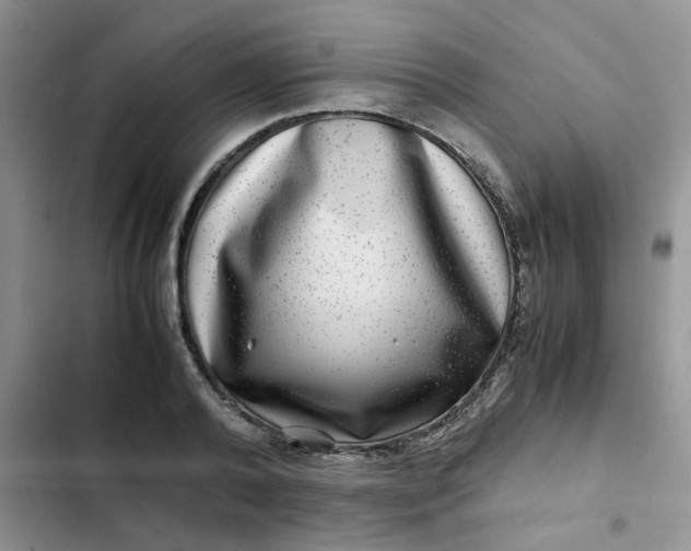 X0000102510792200808221816