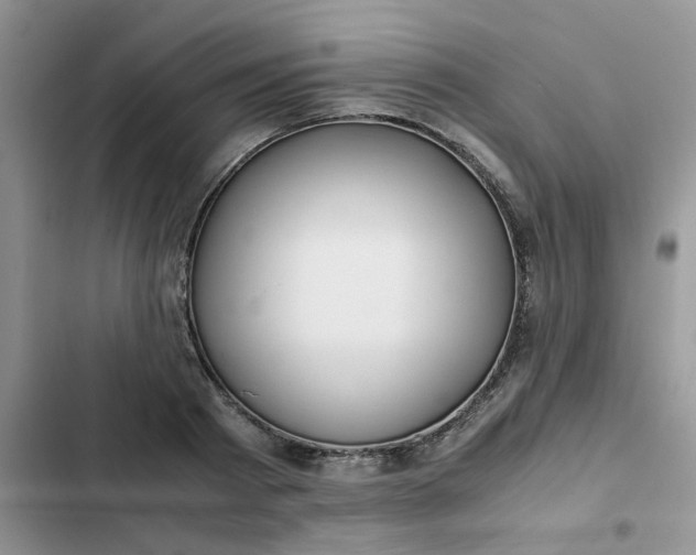 X0000102510793200808221816