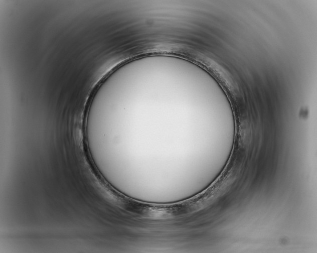 X0000102510794200808221816