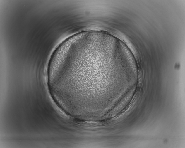 X0000102510795200808221816