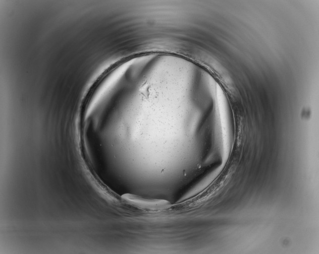 X0000102510796200808221816