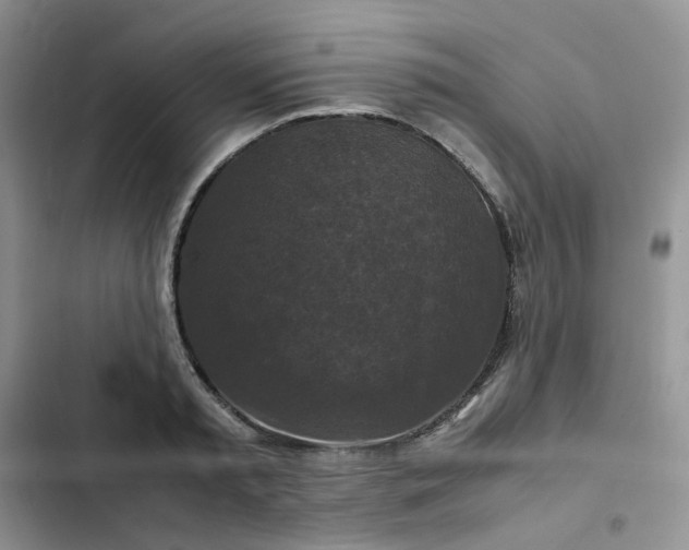 X0000102510797200808221816