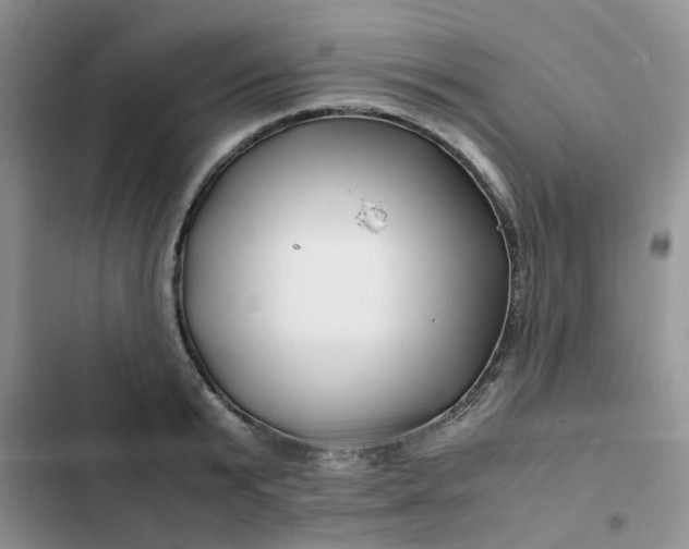 X0000102510799200808221816