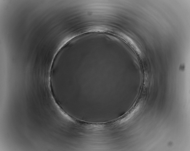 X0000102510802200808221816