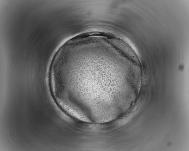 X0000102510803200808221816