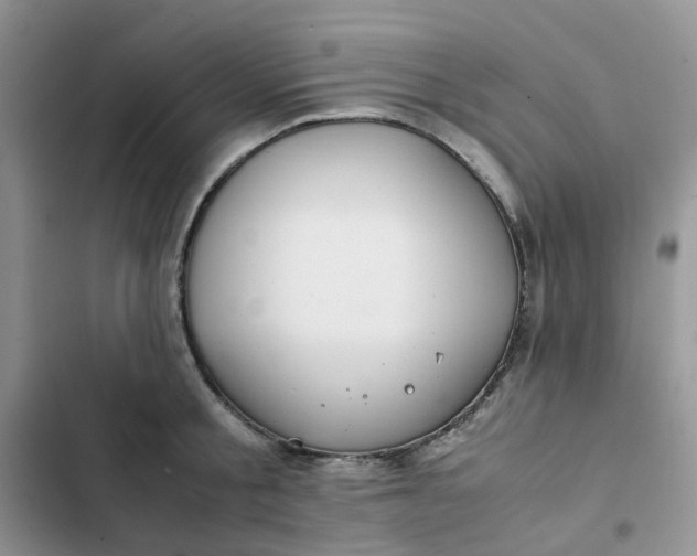 X0000102510805200808221816