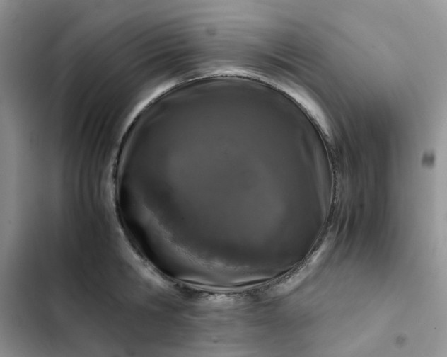 X0000102510806200808221816