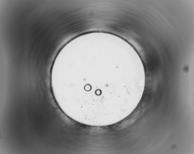 X0000102510807200808221816