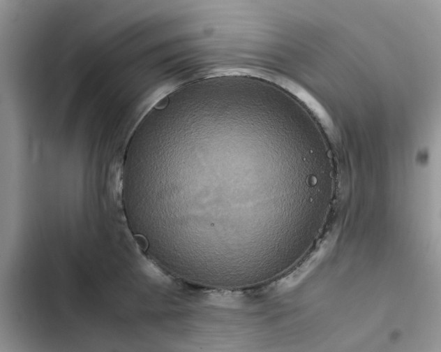 X0000102510809200808221816