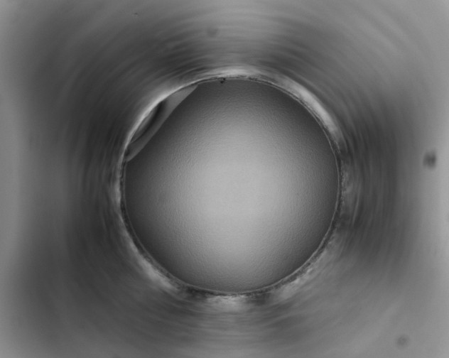 X0000102510810200808221816