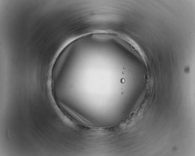 X0000102510811200808221816