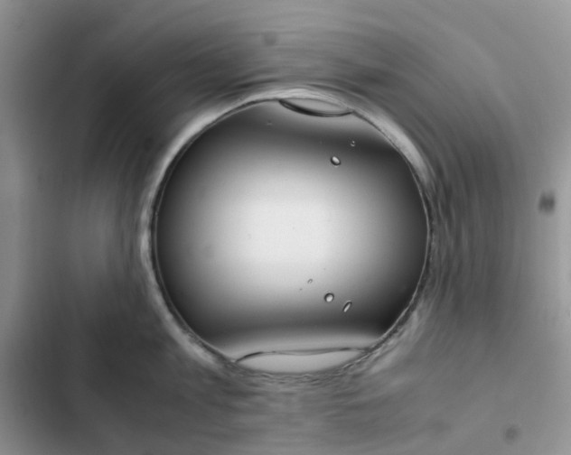 X0000102510813200808221816