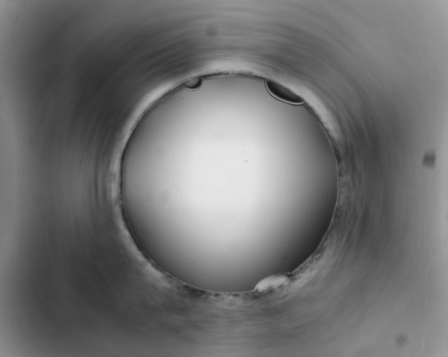 X0000102510815200808221816