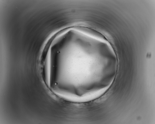 X0000102510816200808221816