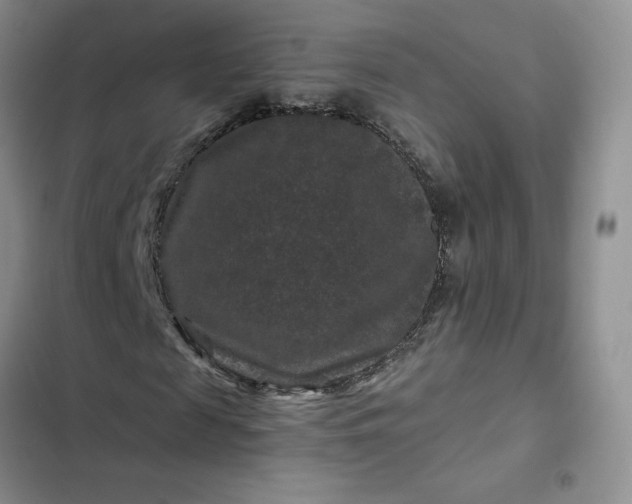 X0000102510817200808221815