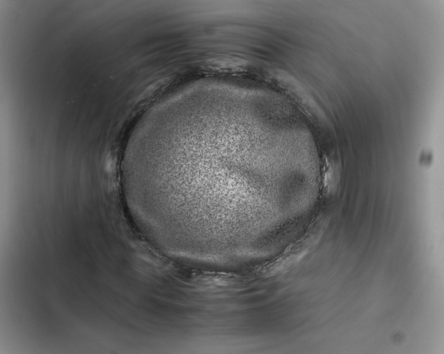 X0000102510819200808221815
