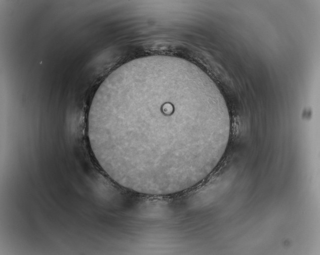 X0000102510820200808221815