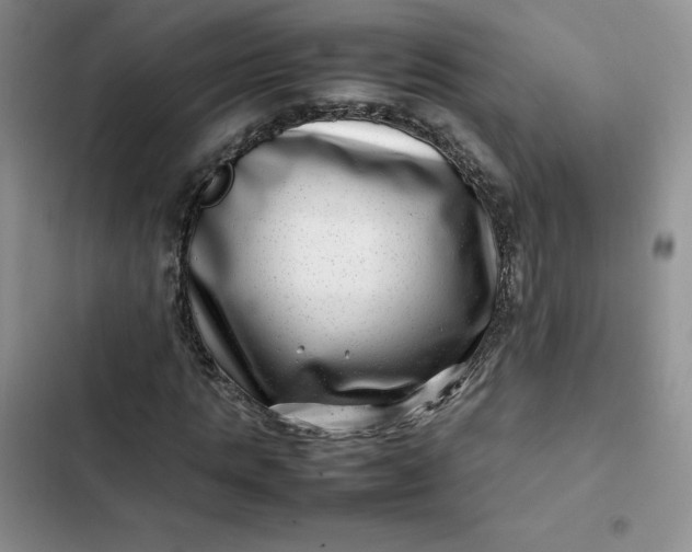 X0000102510821200808221815