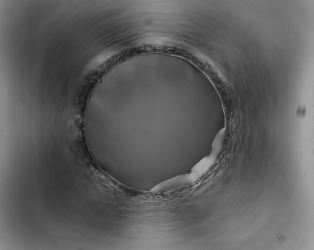 X0000102510822200808221815